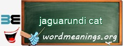 WordMeaning blackboard for jaguarundi cat